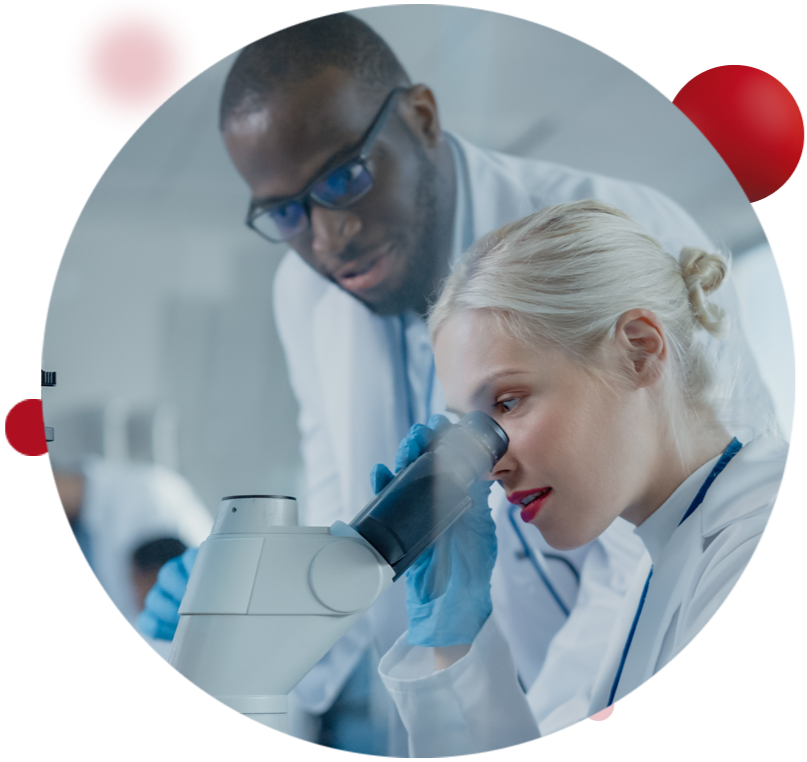 WG development, anatomy, pathology