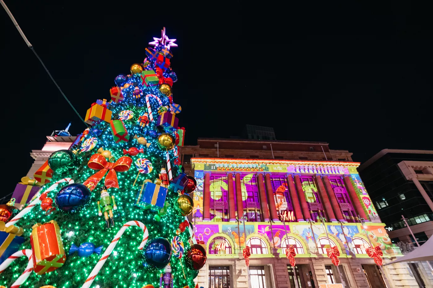 christmas lights and christmas tree