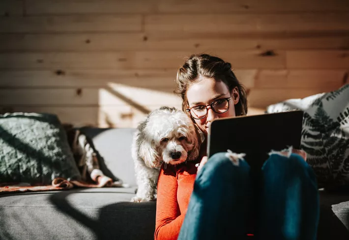 Person sitting on a couch with a small white dog, looking at a laptop in a sunlit room with wood-paneled walls.