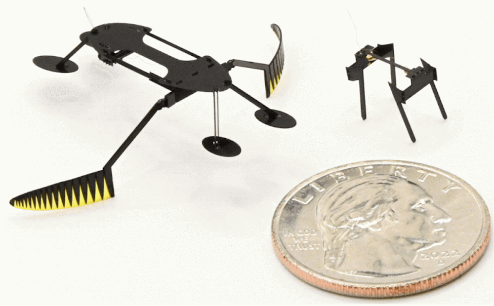 Water strider and mini-bug robots next to quarter for size comparison