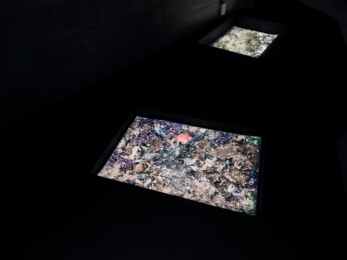 吉田多麻希「土を継ぐ—Echoes from the Soil」 会場：TIME’S