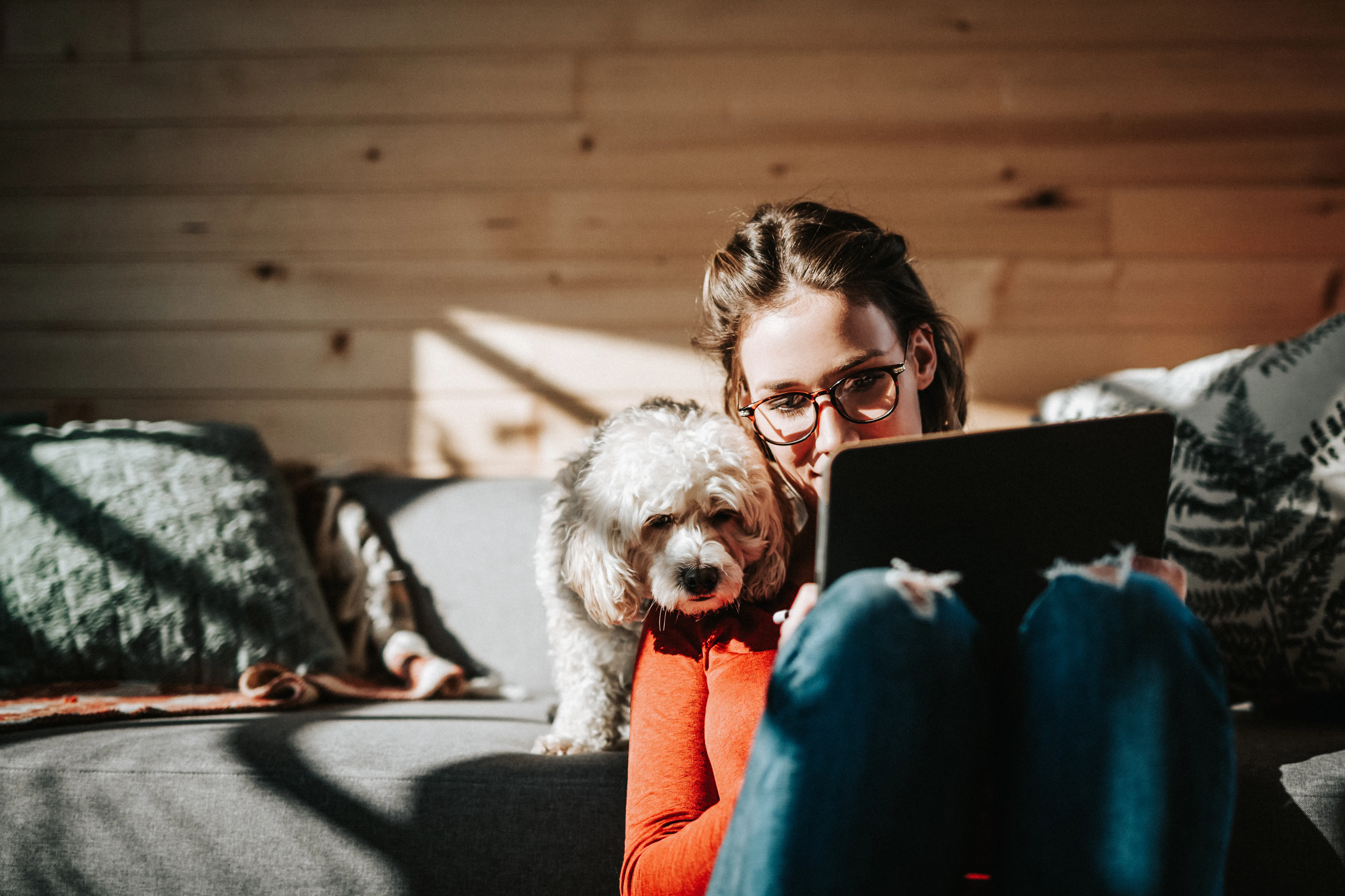Person sitting on a couch with a small white dog, looking at a laptop in a sunlit room with wood-paneled walls.