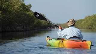 22647-kayaking-florida-smhoz.jpg