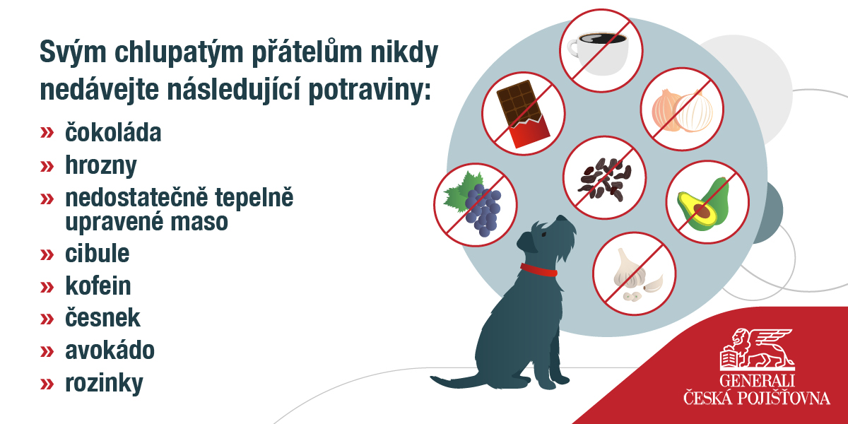 Generali_Pet Foods_Mini Graphics_France_110425_V2_CZ (1).jpg