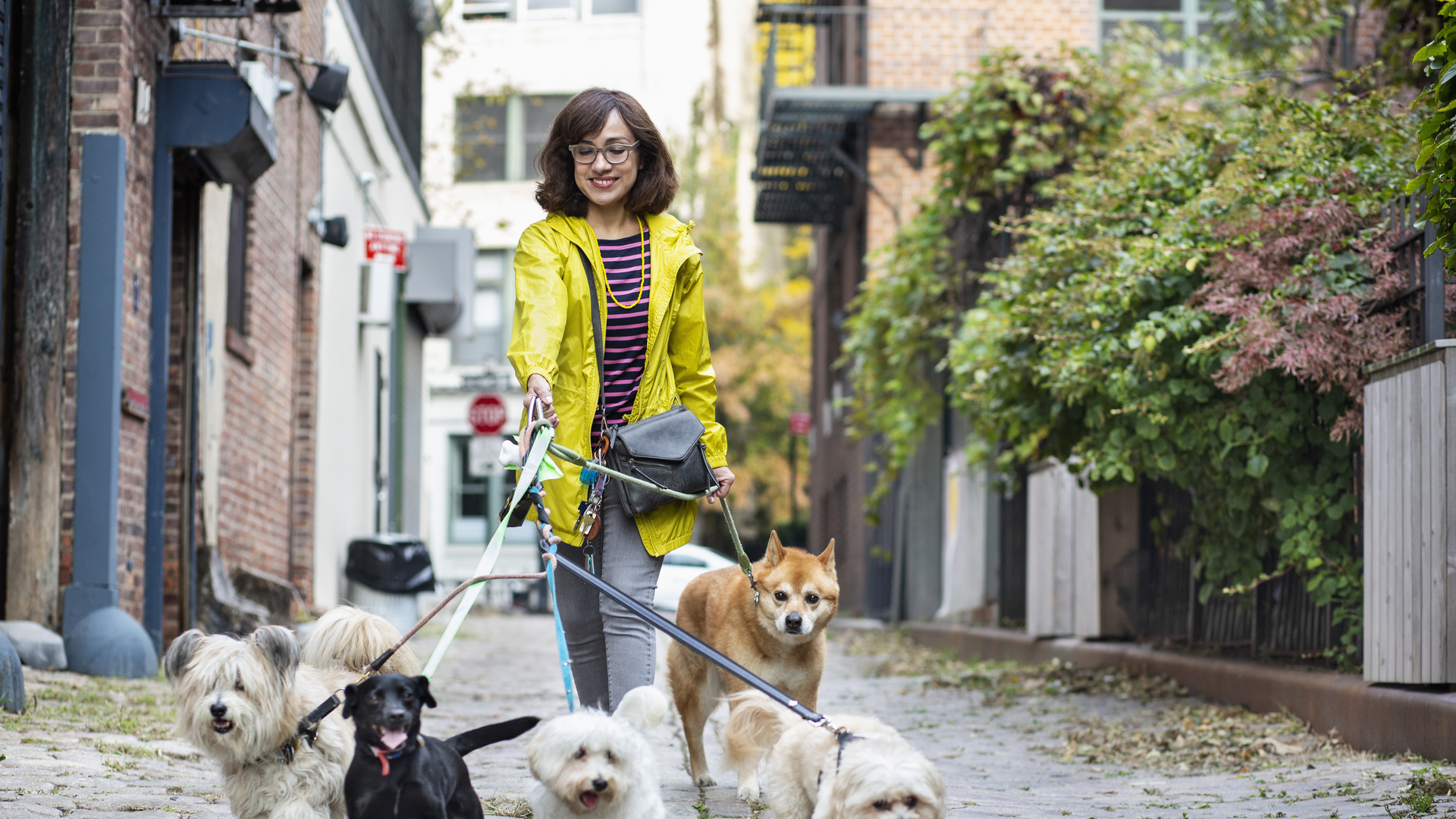 Latino woman dog walker