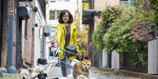 Latino woman dog walker