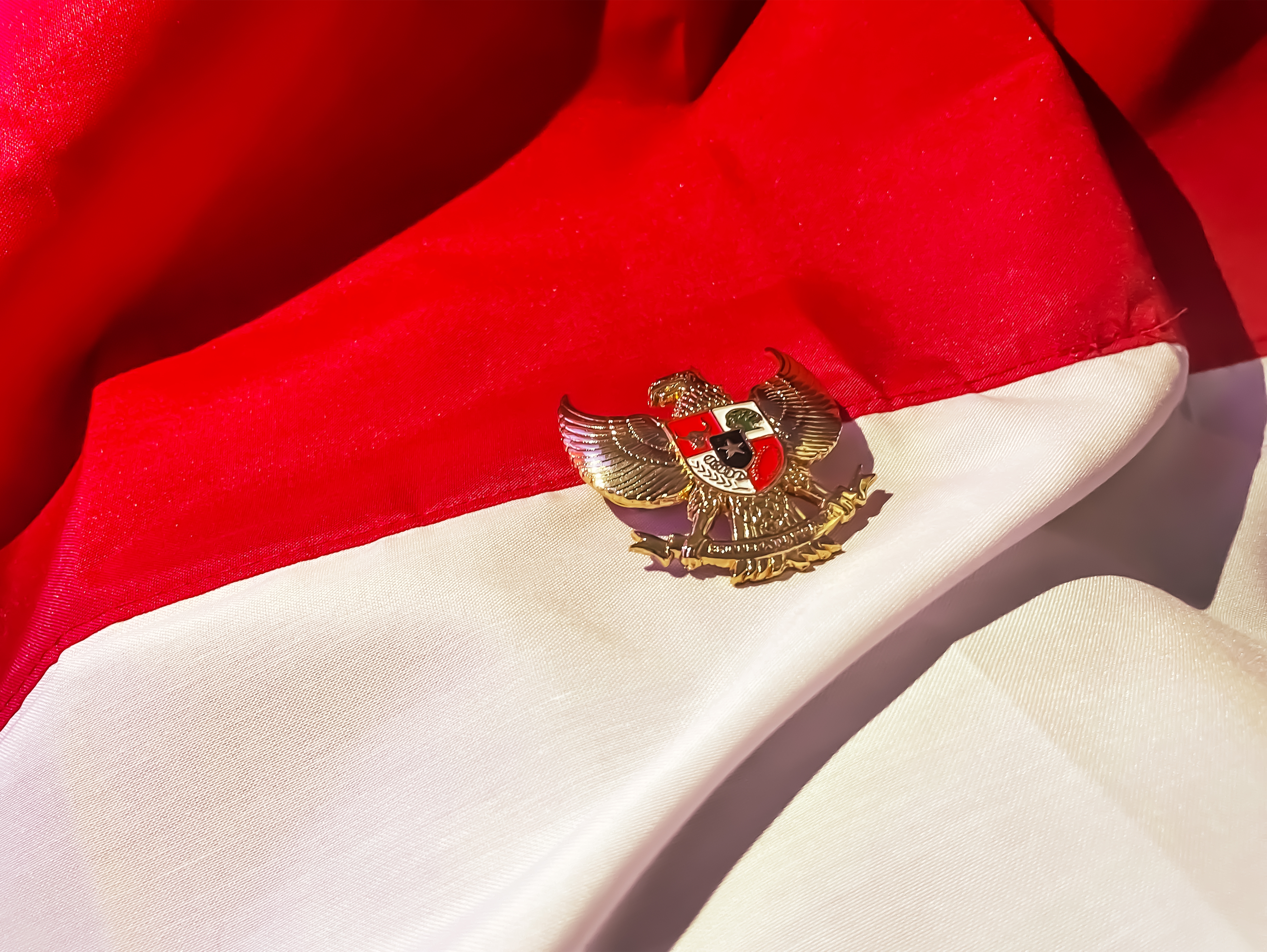Merayakan Hari Lahir Pancasila: Strategi Membangun