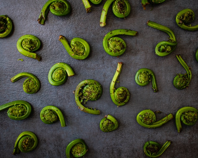 the-matter-of-food---0jFrmPdSc-unsplash.jpg
