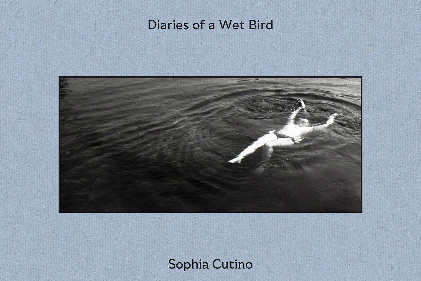 Diaries of A Wet Bird