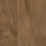 English Walnut Nut Brown