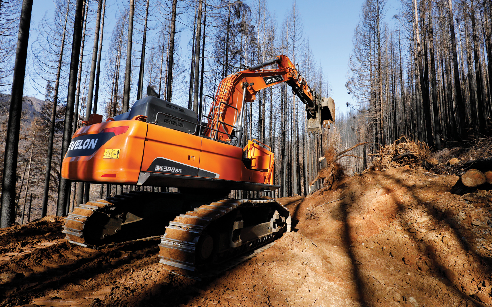 A DEVELON DX300RB-7 Road Builder clearing a path on a job site in a forest.
