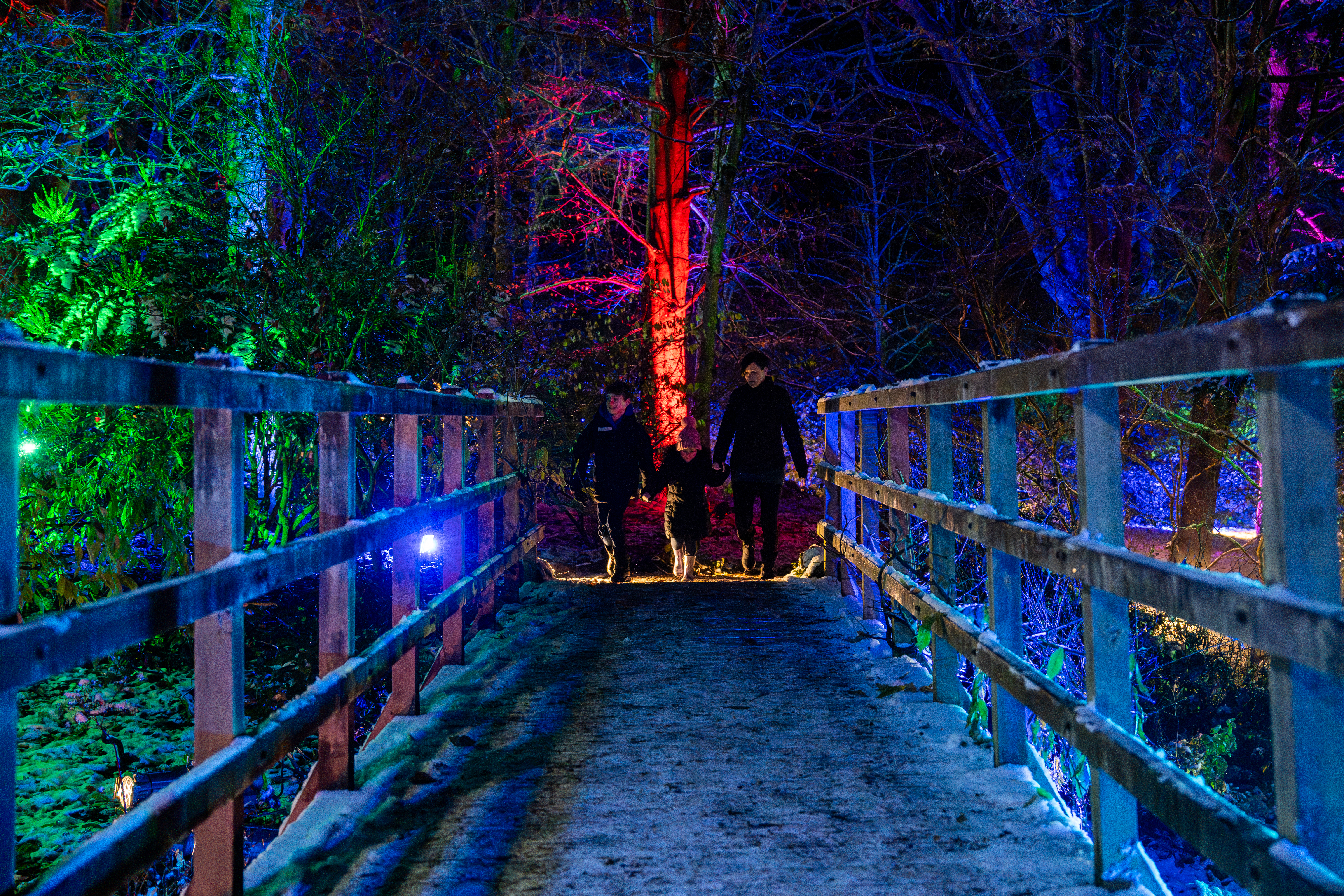 Monteviot Lights-31.jpg