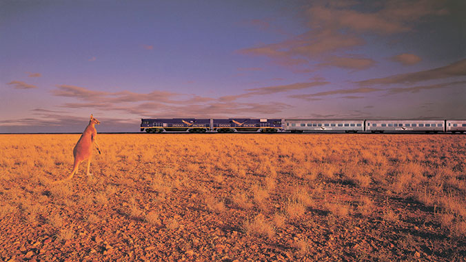 3110-great-australian-train-trek-indian-pacific-railroad-kangaroo-c.jpg