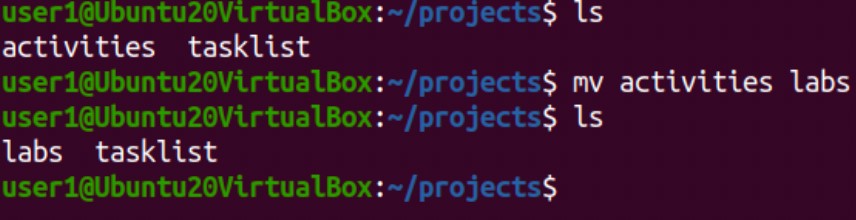 blog_linux-file-management-commands_11.jpg