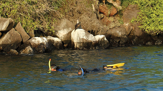 21577-Hiking-Biking-Water-Sports-Galapagos-Islands-snorkel-c.jpg