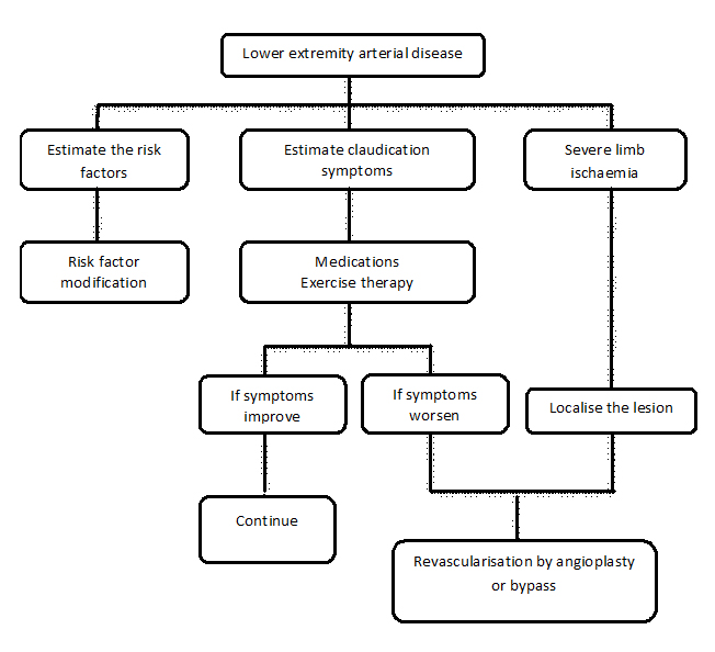132_Alyavi_Figure 1-Peripheral artery disease in the lower extremities.jpg