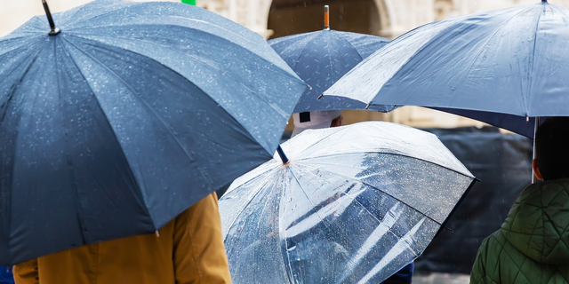 crowds of people with umbrellas in the city