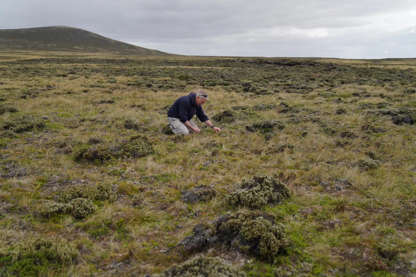 Richard, Falkland Islands Distillers