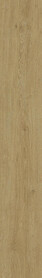Lancaster Oak