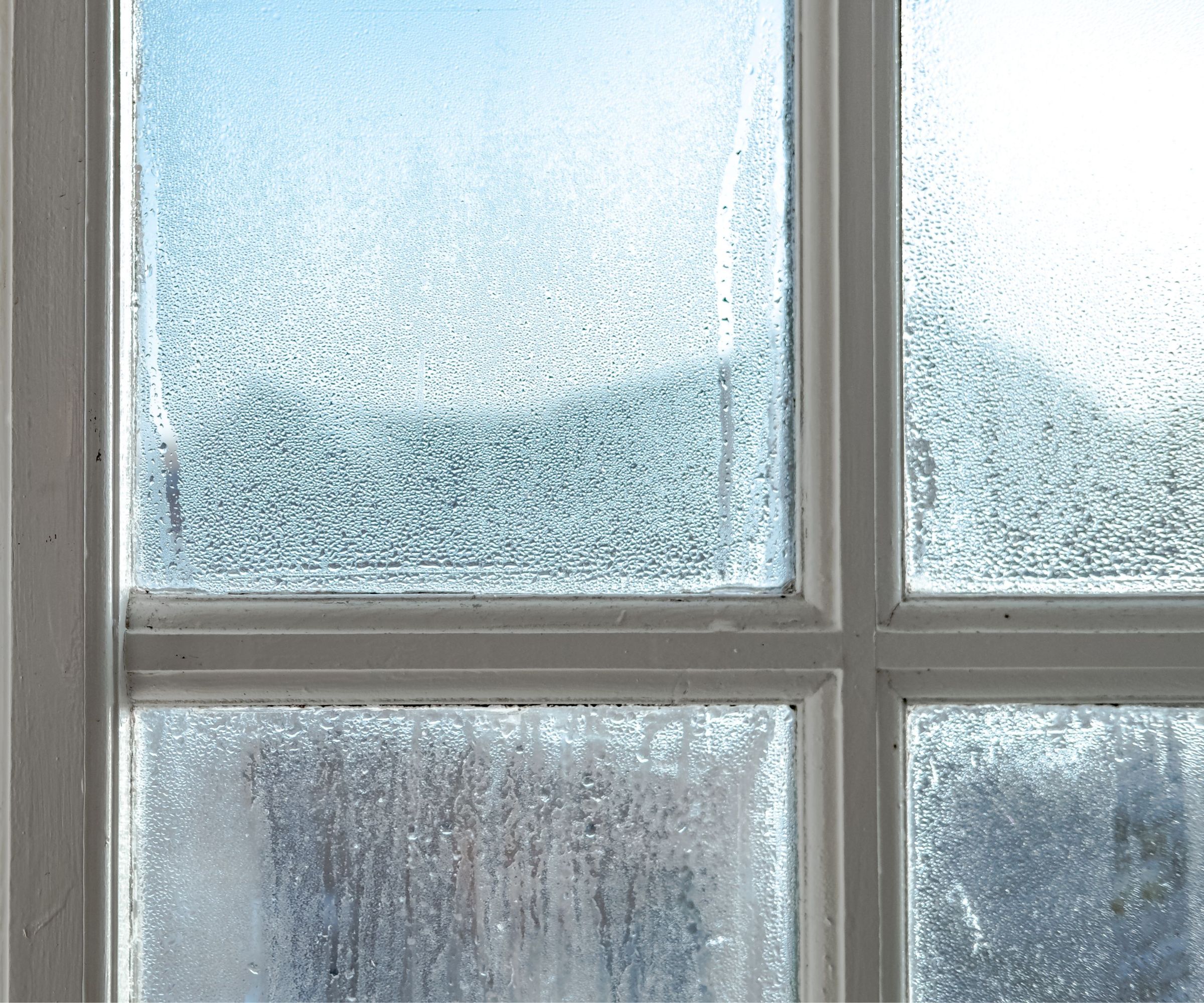 Condensation on single pane windows with white framing.