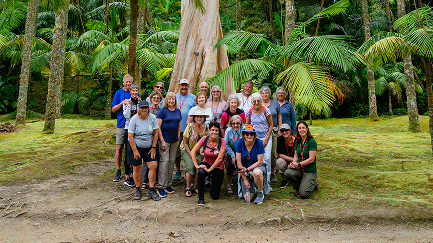 23579-PT-Sao Miguel-Furnas Village-Terra Nostra Garden-255-c.jpg