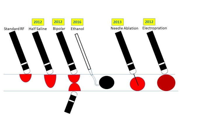 286_Sebag_Figure 3_Cardiac electrophysiology evolution of the technique over the last decade.jpg