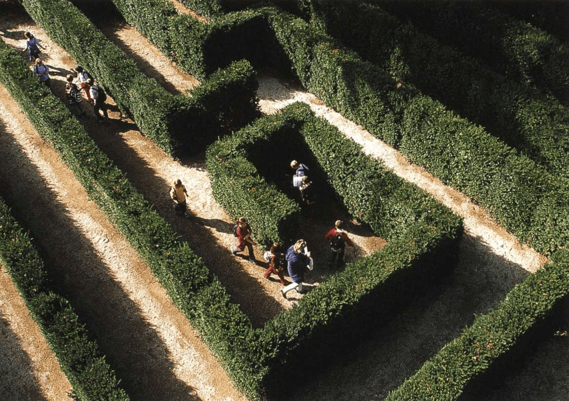a group of people sitting on a grassy hill