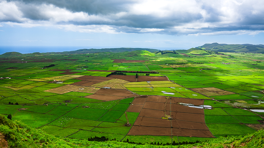 22755-PT-Terceira-Serra do Cume-11-c.jpg