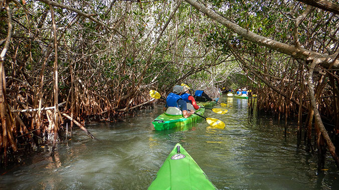 22825-marsh-kayak-cocoa-beach-c.jpg