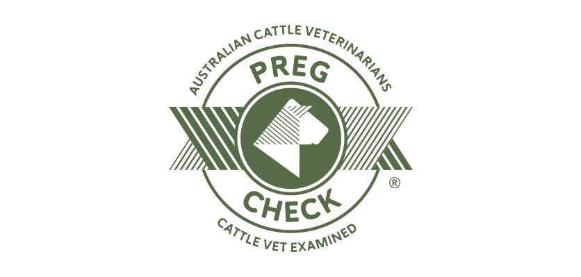 ACV PREgCHECK Logo - Content Page Hero