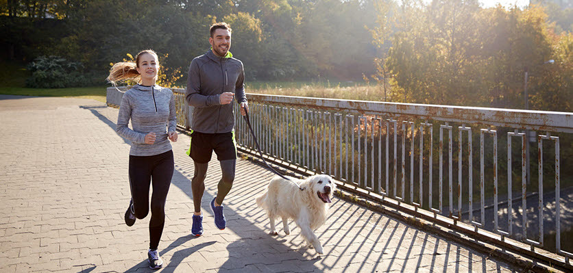 vet voice - dog - couple - running