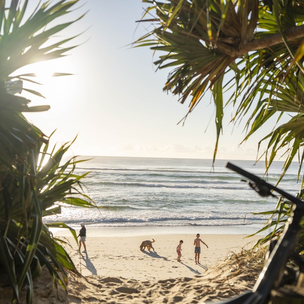 Beach scene with a walkway through the trees