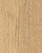 Southern Oak Aspen