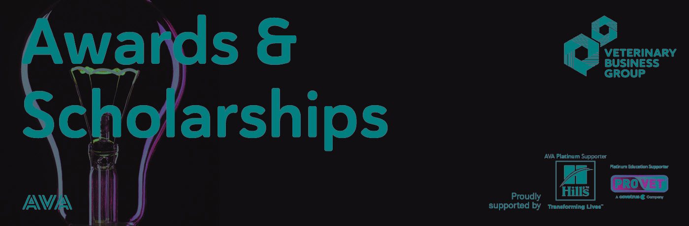 VBG Awards and scholarships web banner