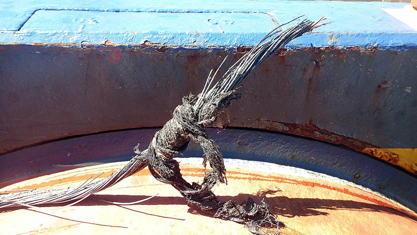 Image of severed submarine cable once the outer sealing layers have been stripped off