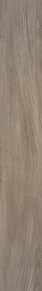 Dutch Elm Cashmere