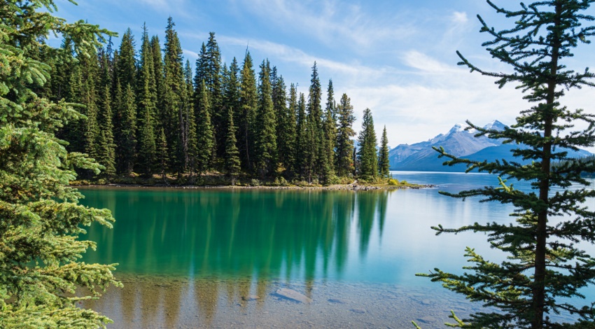 A still lake surrounded by tall pine trees and mountains in Canada