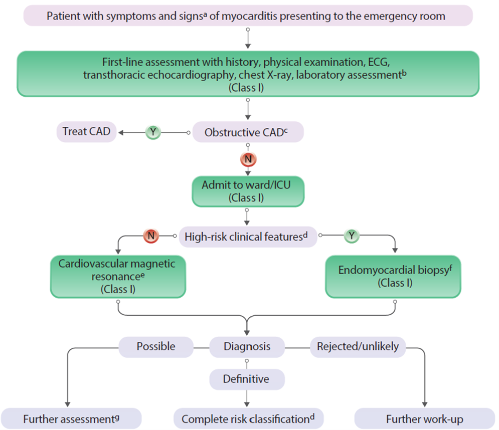 Vol 15 Genomic Insigh HT Figure 1.png