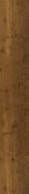 Chargot Oak