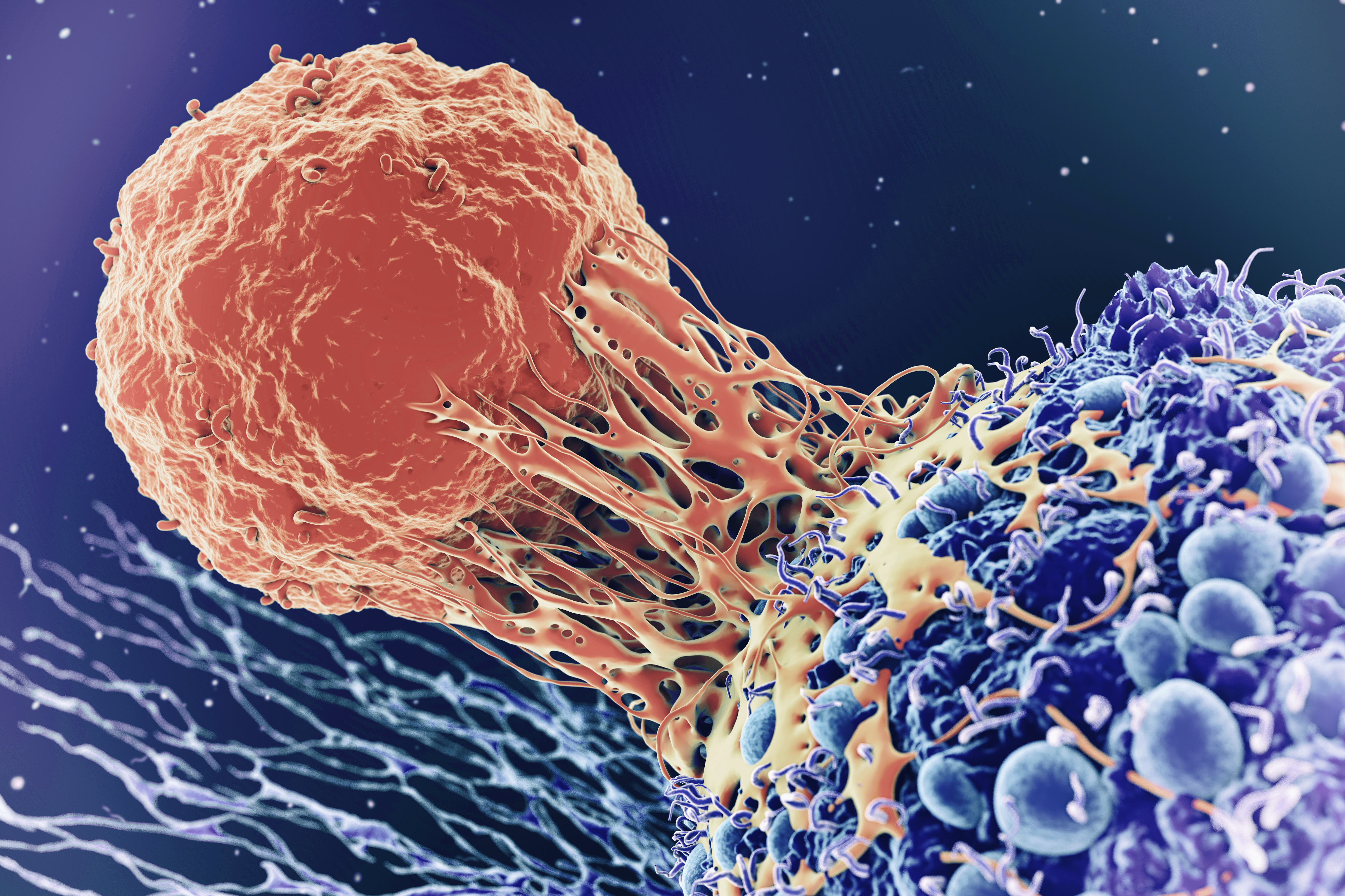 Cancer cell image