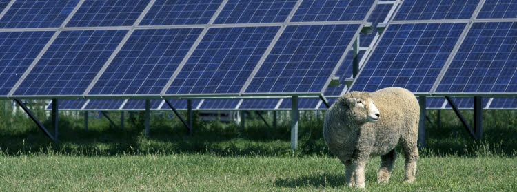 H&ouml;gan&auml;s sustainability report 2020