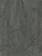 Willow