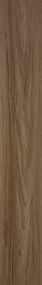English Walnut