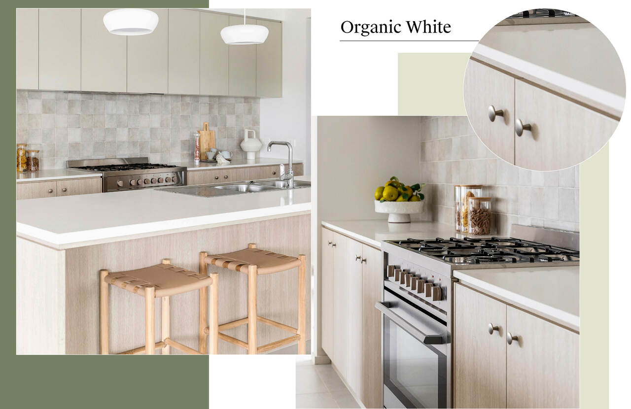 CH_HOME_FILES_BODY_TEMPLATES (2).jpg