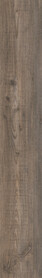 Harbour Pine