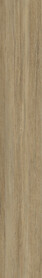 Brandywine Ash
