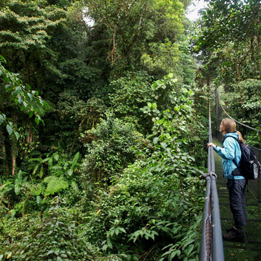 Monteverde Cloud Forest, Costa Rica