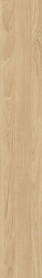 Springhouse Teak