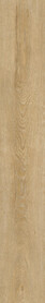 Sojourn Oak