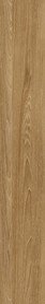 Summer Teak